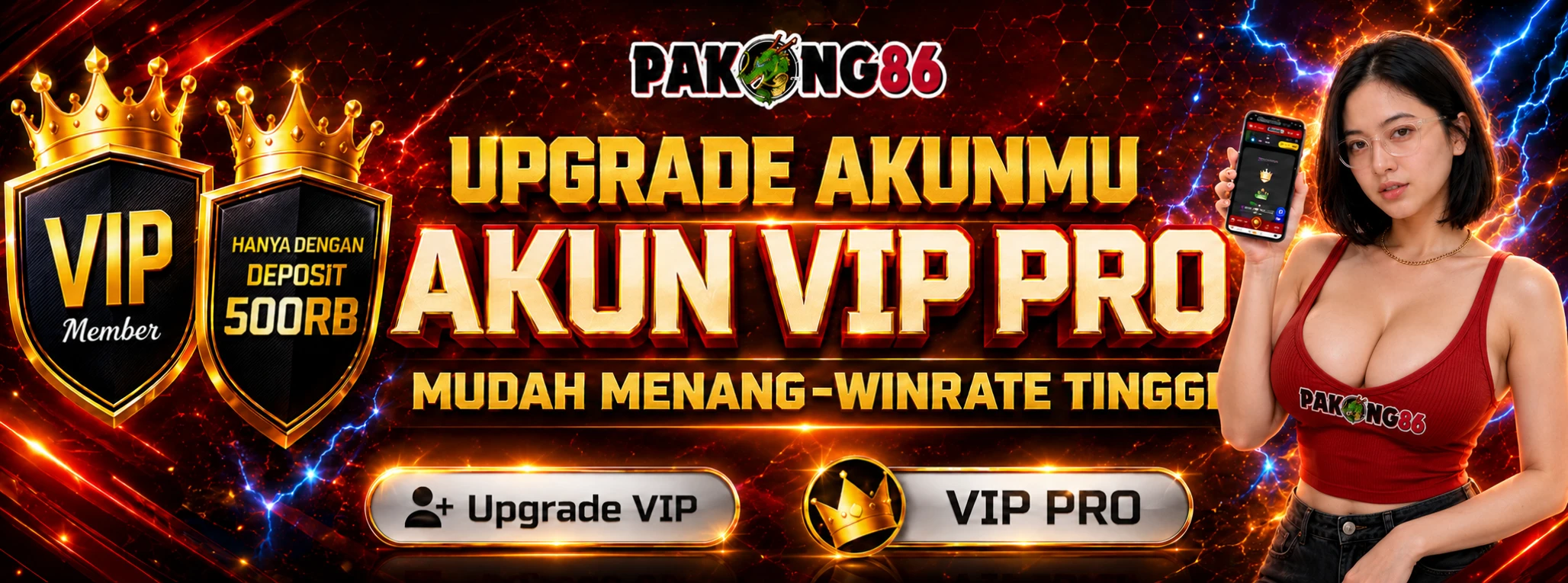 AKUN VIP PRO